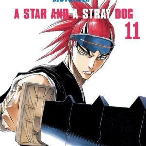 BLEACH (BESTSELLER) 11