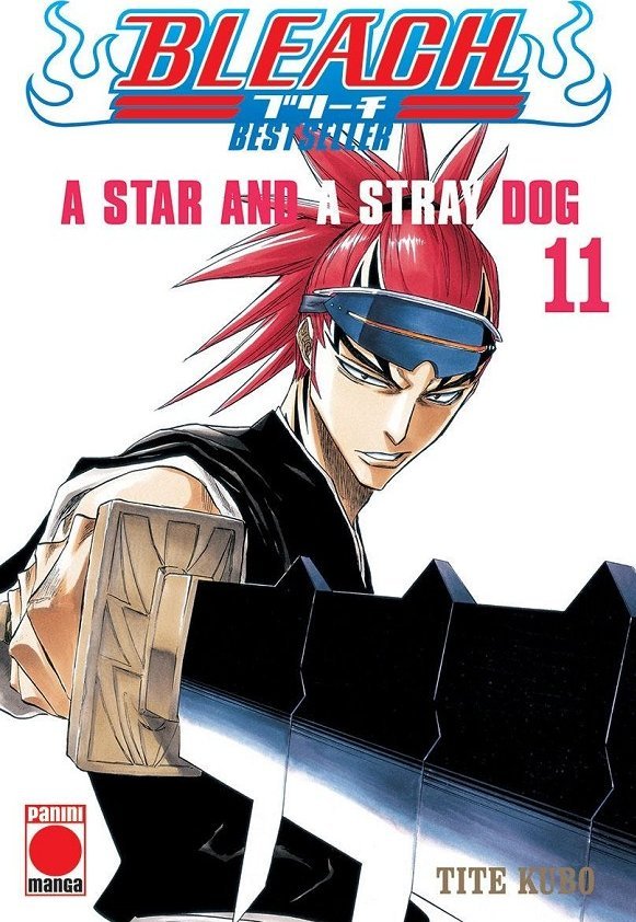 BLEACH (BESTSELLER) 11