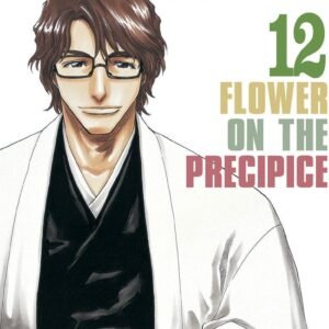 BLEACH (BESTSELLER) 12