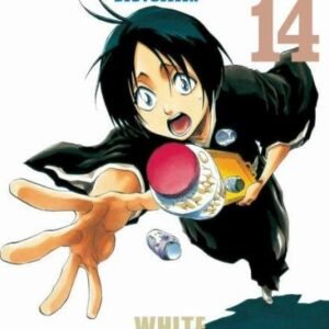 BLEACH (BESTSELLER) 14