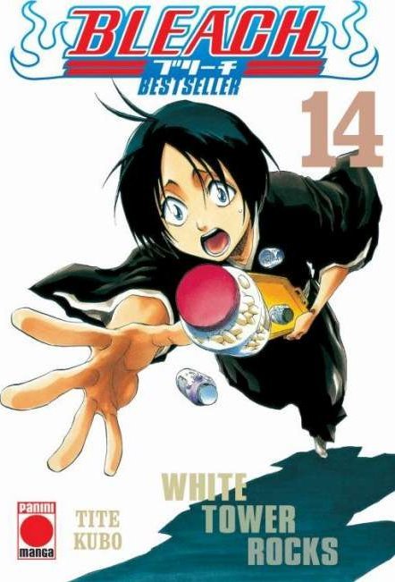 BLEACH (BESTSELLER) 14