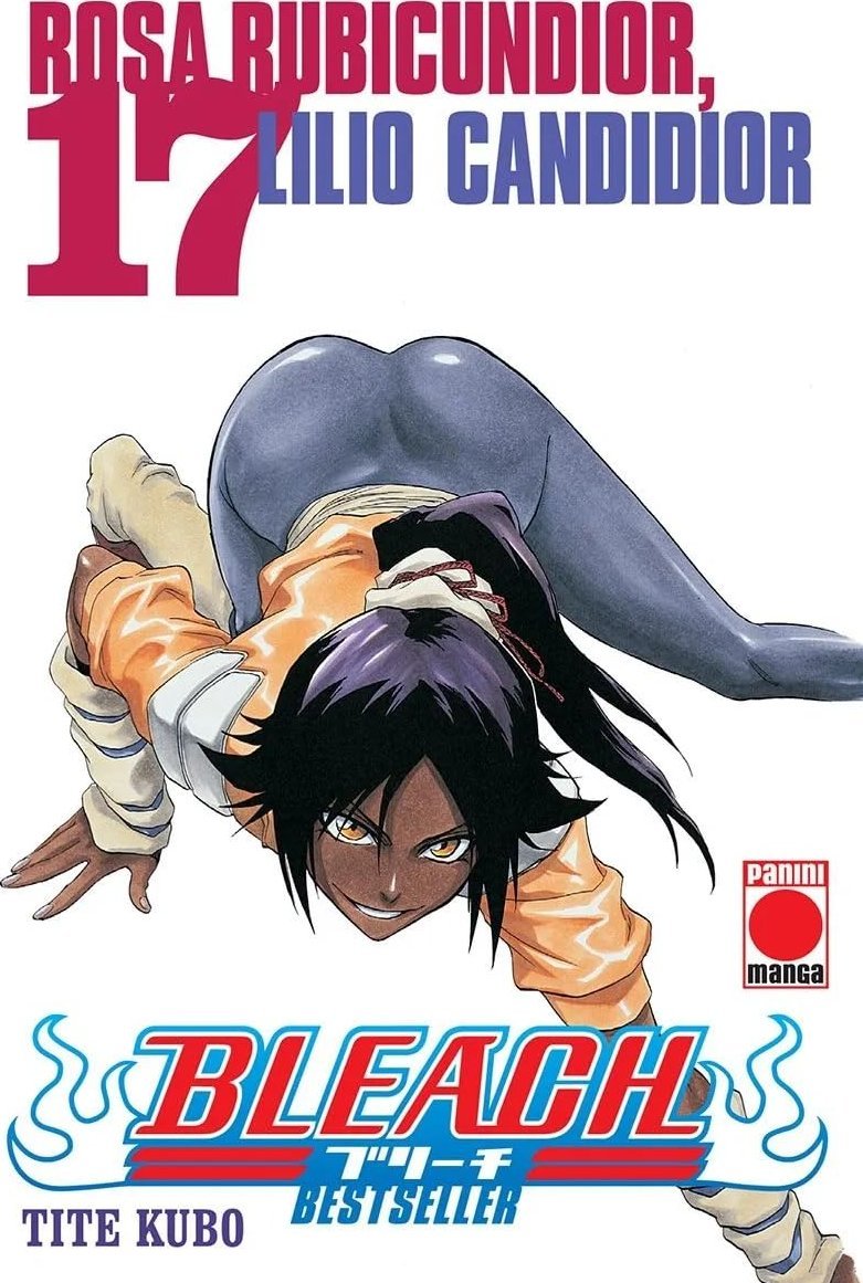 BLEACH (BESTSELLER) 17