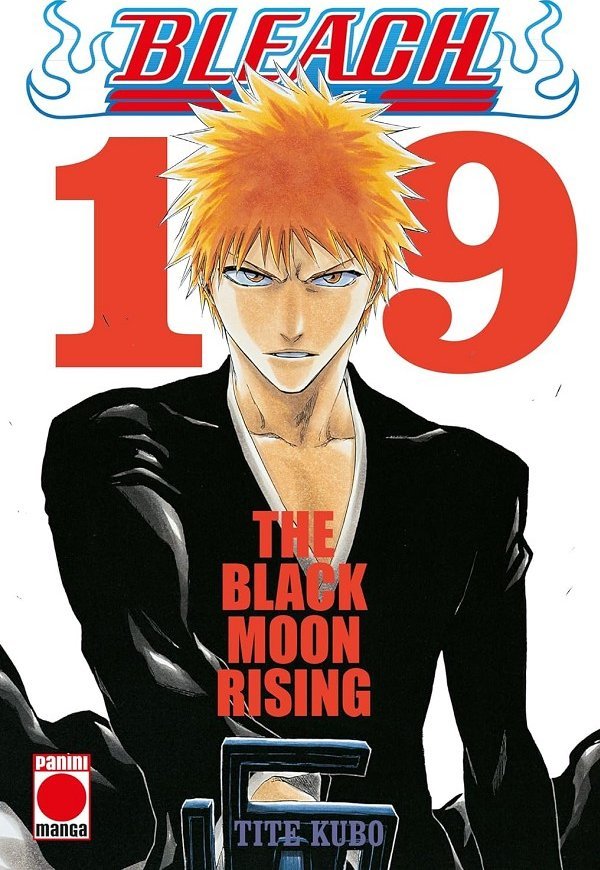 BLEACH (BESTSELLER) 19