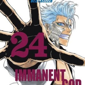 BLEACH (BESTSELLER) 24