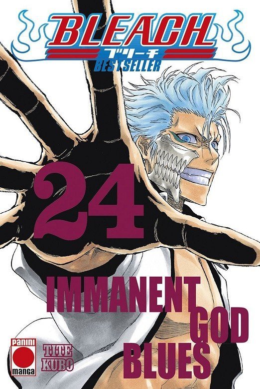 BLEACH (BESTSELLER) 24