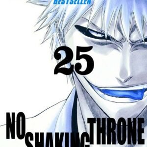 BLEACH (BESTSELLER) 25