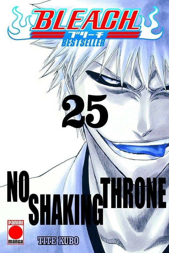 BLEACH (BESTSELLER) 25